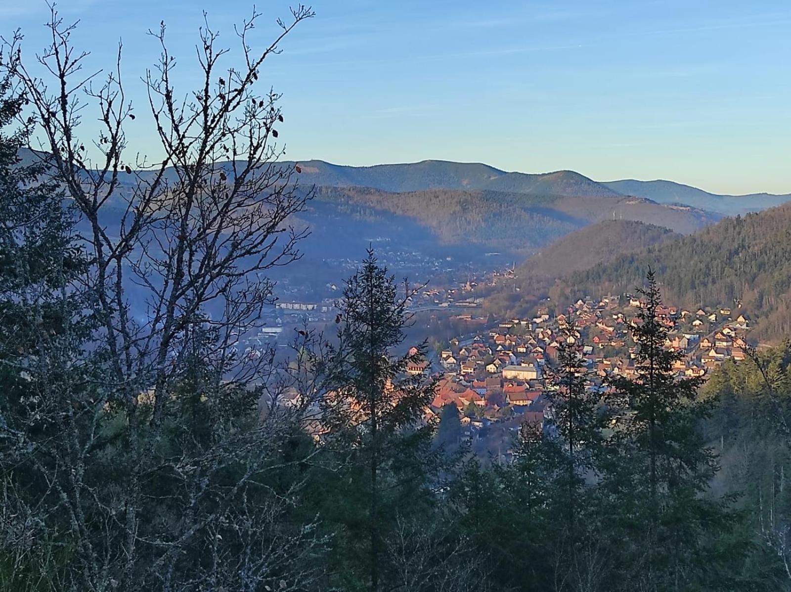 Au Petit Donon Holiday home Rothau