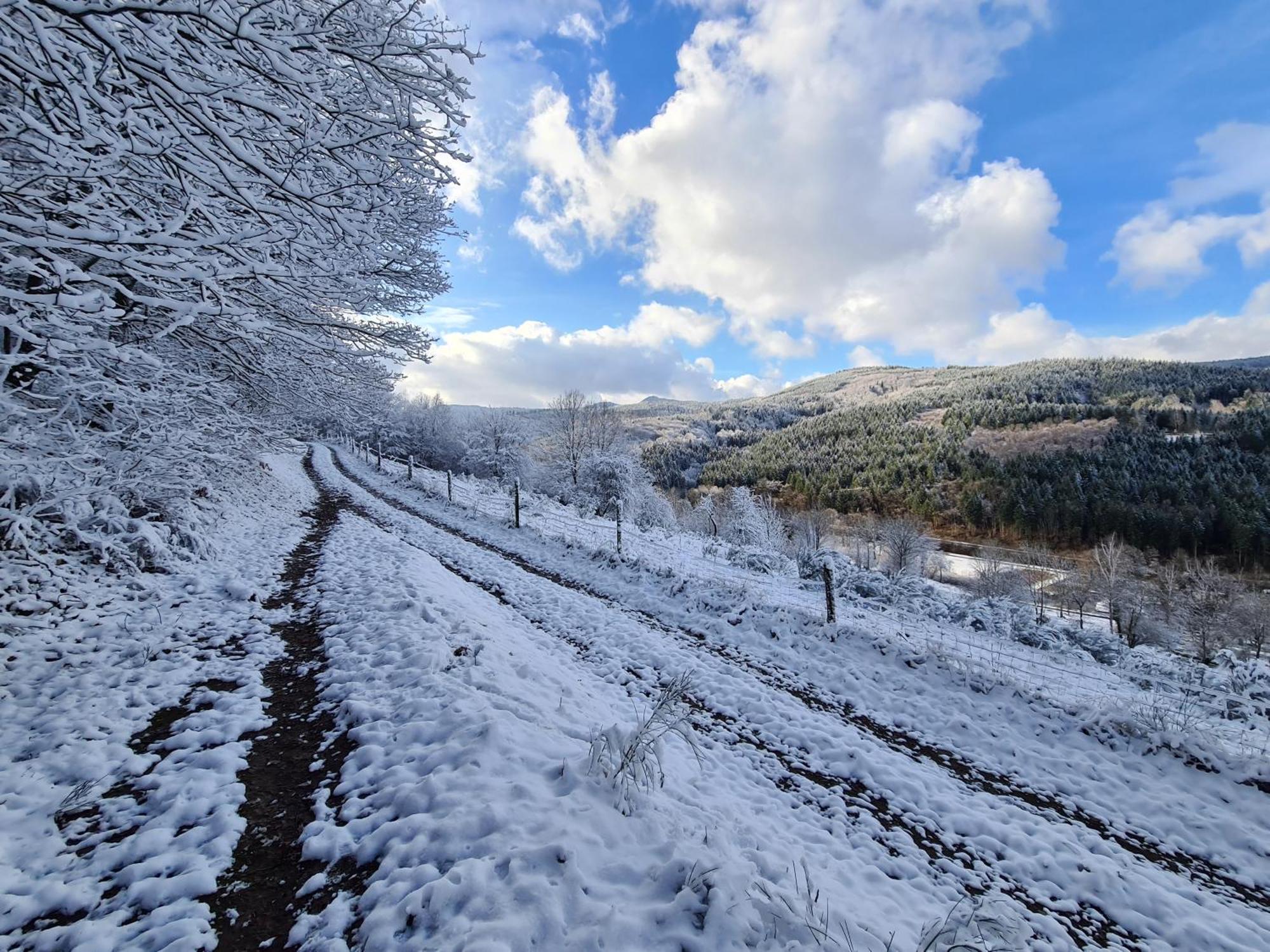 Au Petit Donon * Rothau